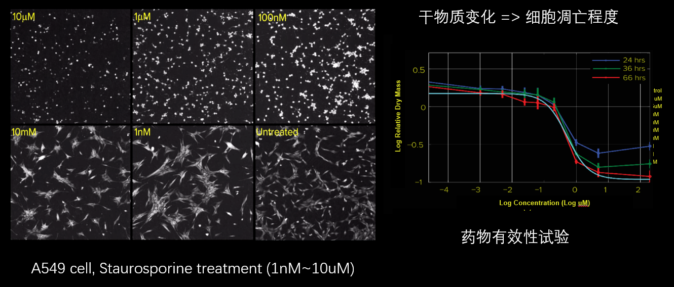 5、細胞毒性分析.png
