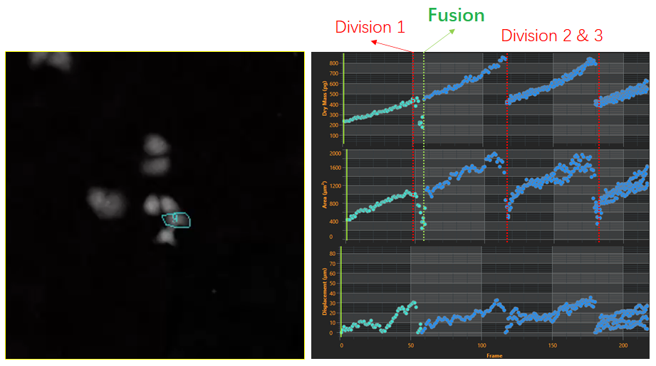 2、細胞譜系研究-2.png