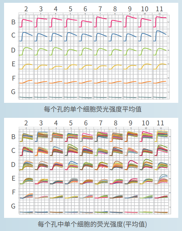 應用2：離子霉素濃度依賴性鈣反應-2.png