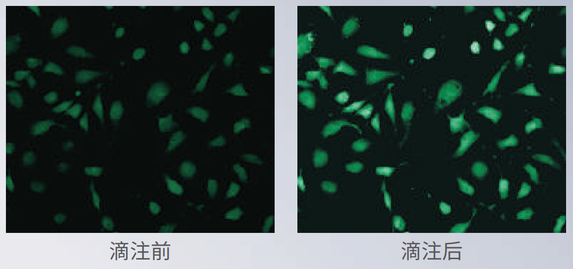 應用2：動力學分析.png